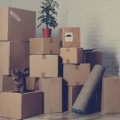 transitpackers transitpackers